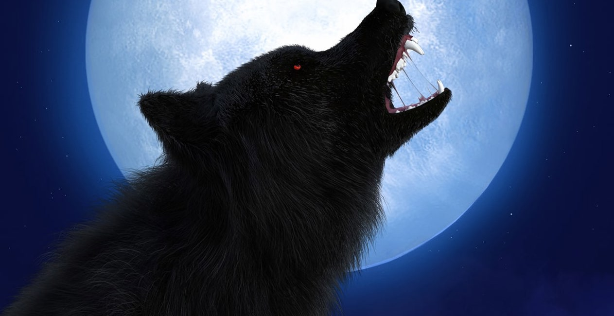 Werewolf howling at the full moon