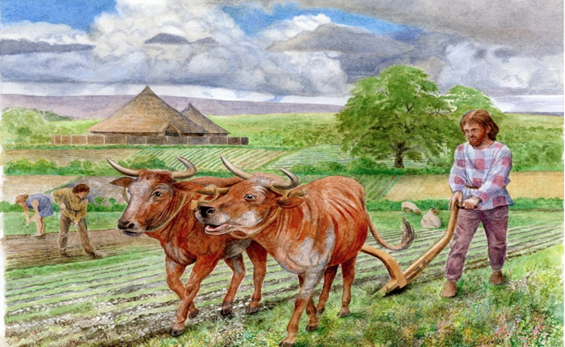 Celtic Farmer 