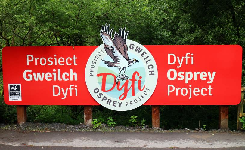 Cors Dyfi Nature Reserve