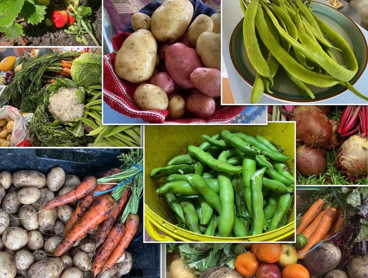 Variety of fruit and vegetables, including potatoes, carrots, beans and strawberries 