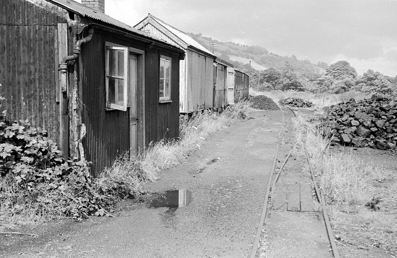 Llanfair Caereinion Station, 1960